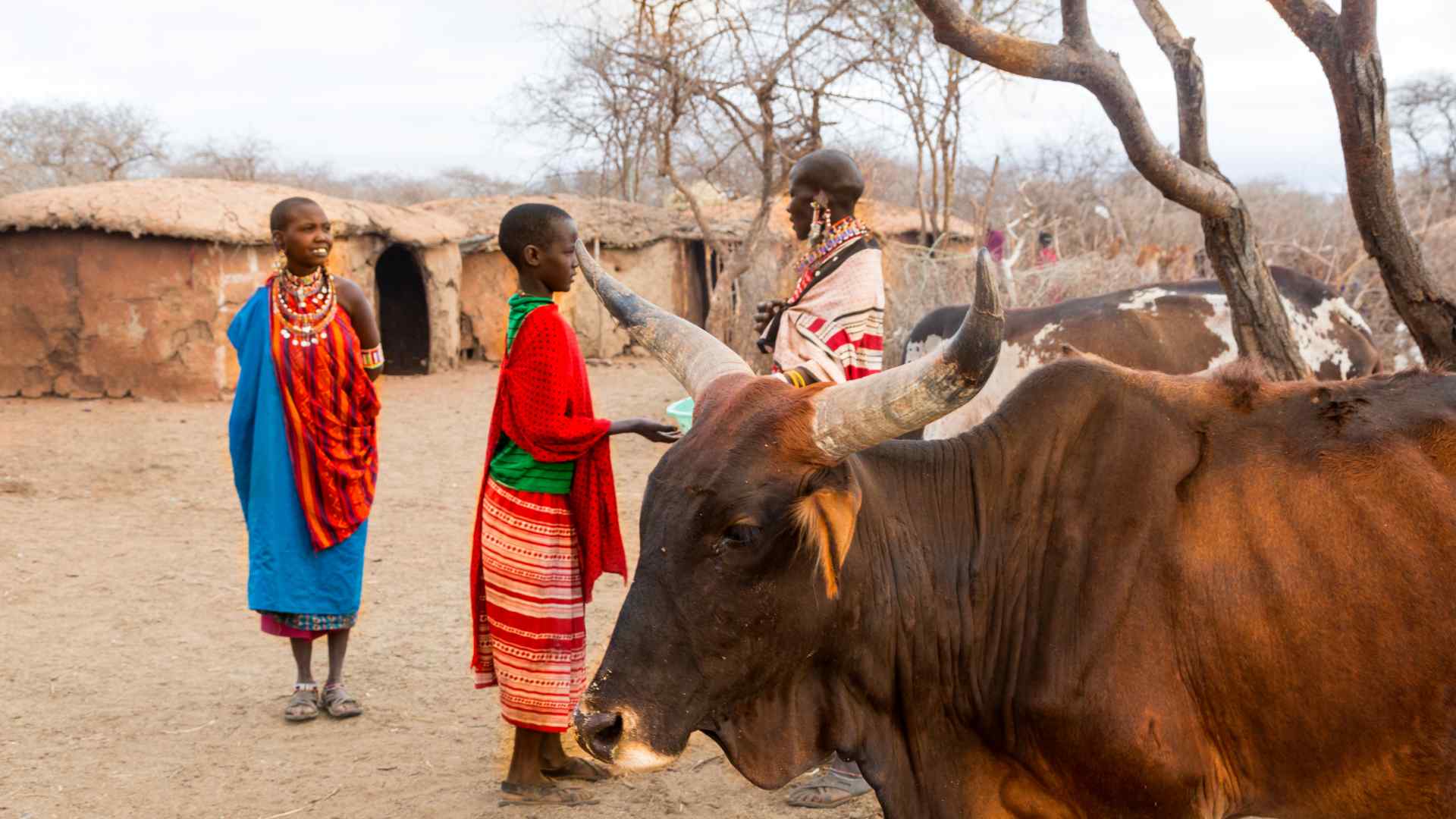 maasai-people-culture